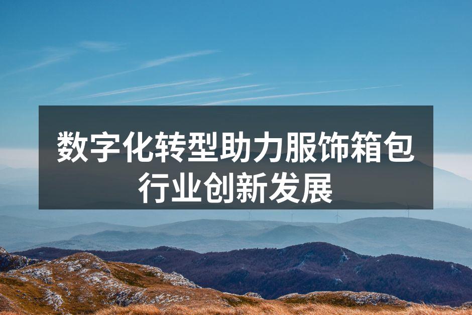 数字化转型提升行业竞争力
